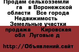 Продам сельхозземли ( 6 000 га ) в Воронежской области - Все города Недвижимость » Земельные участки продажа   . Кировская обл.,Луговые д.